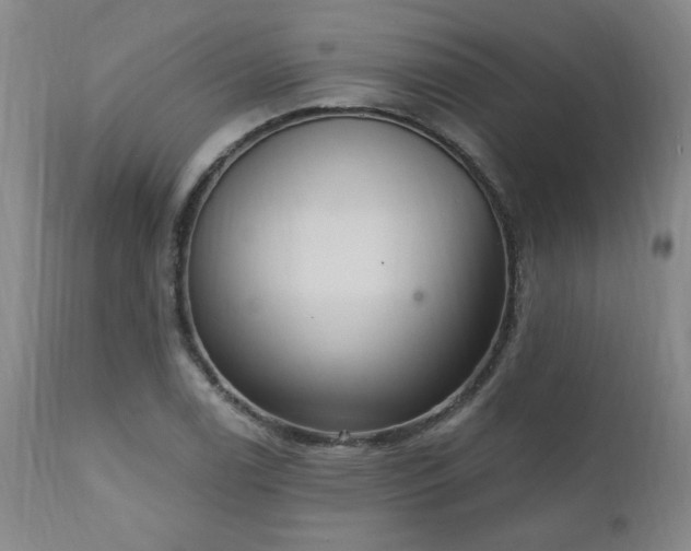 X0000111041122200906251355