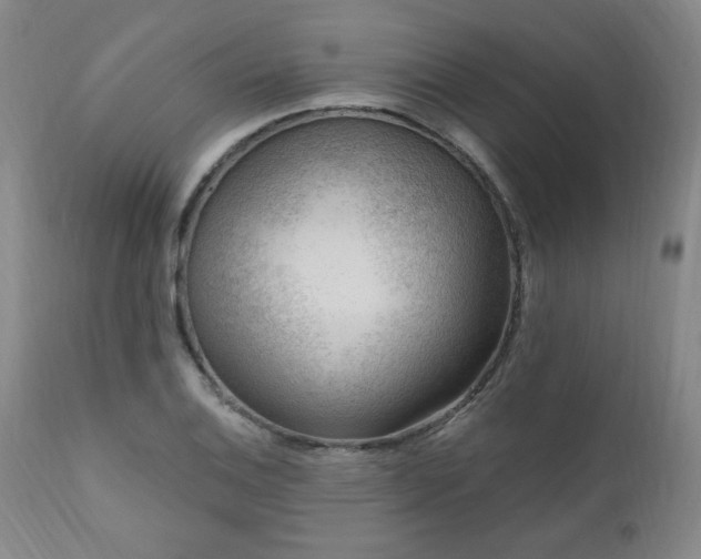 X0000111041124200906251355