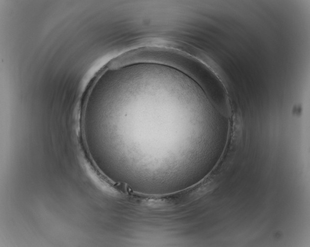 X0000111041128200906251355