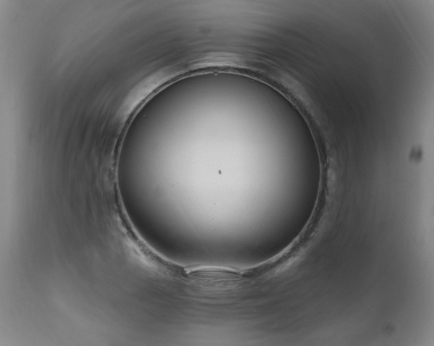 X0000111041129200906251355