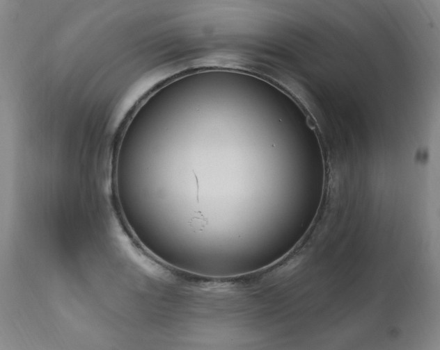 X0000111041131200906251355