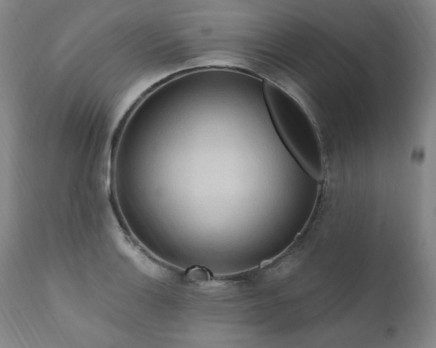 X0000111041132200906251355