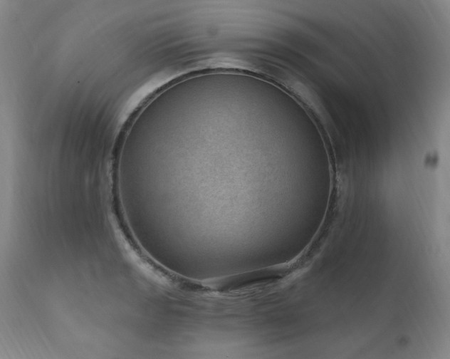 X0000111041133200906251355