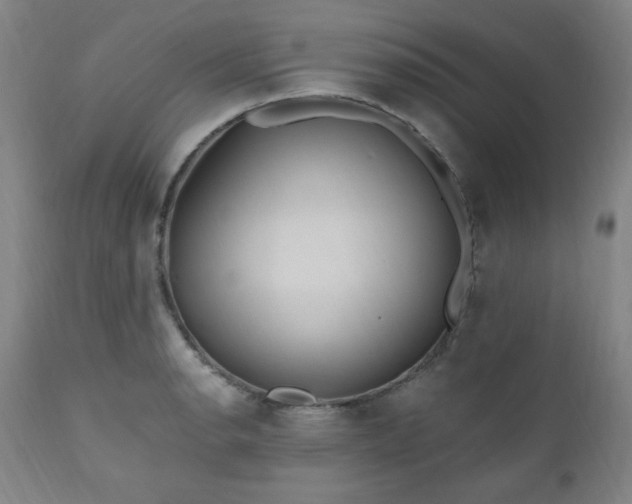 X0000111041134200906251355