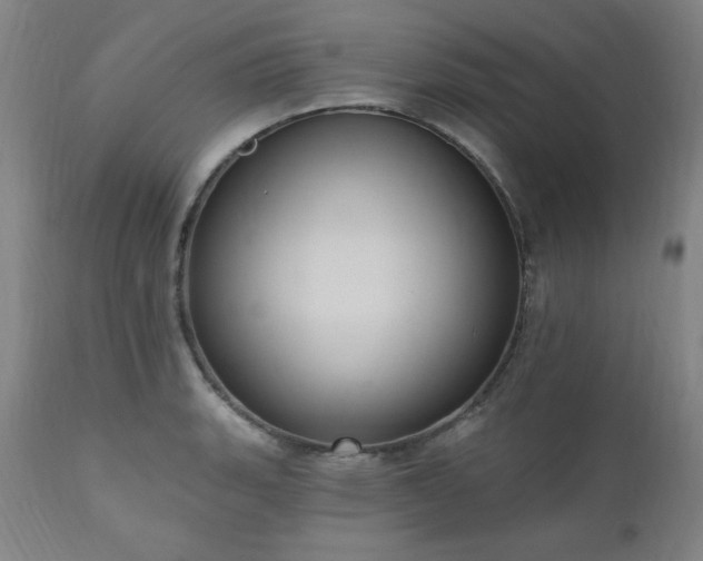 X0000111041135200906251355