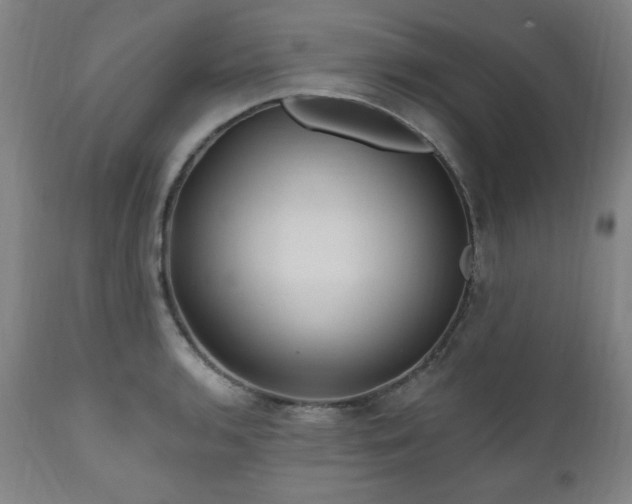 X0000111041136200906251355
