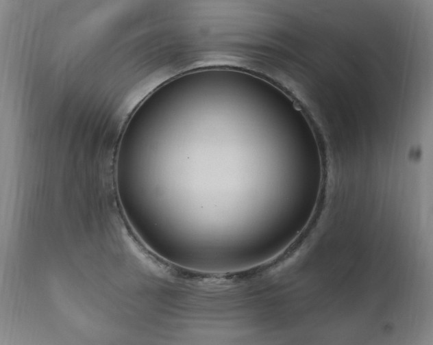 X0000111041137200906251355