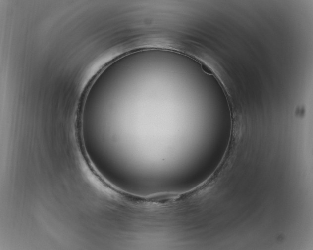 X0000111041139200906251355