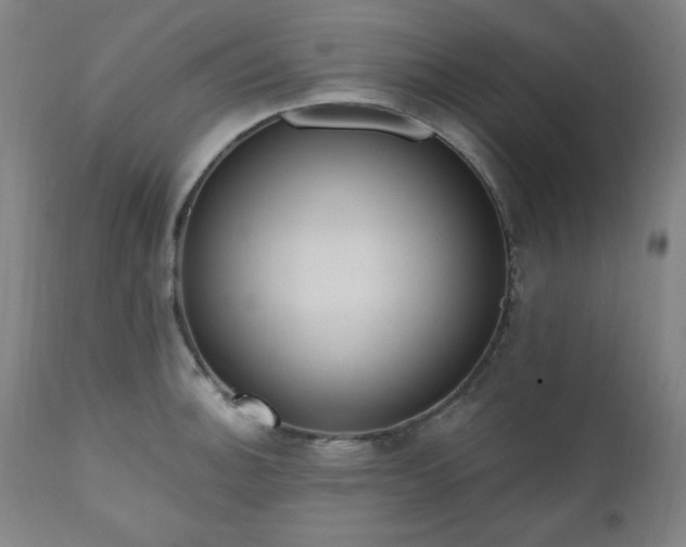 X0000111041140200906251355