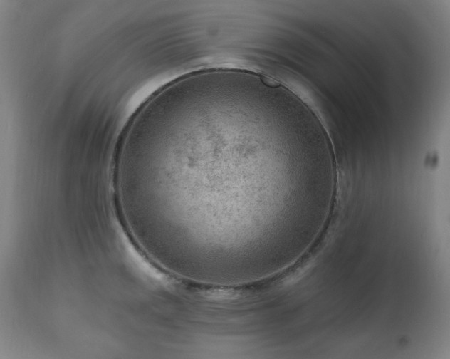 X0000111041141200906251355