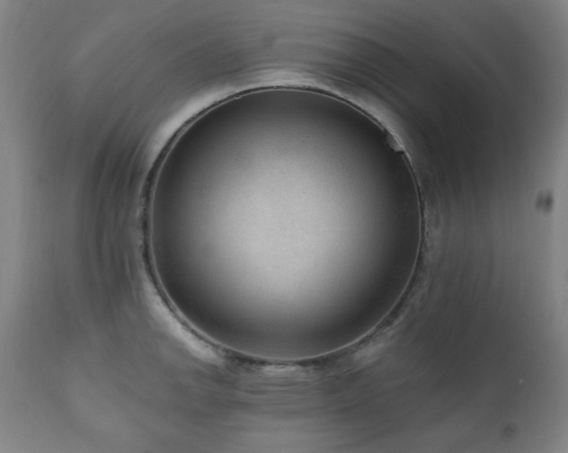 X0000111041142200906251355