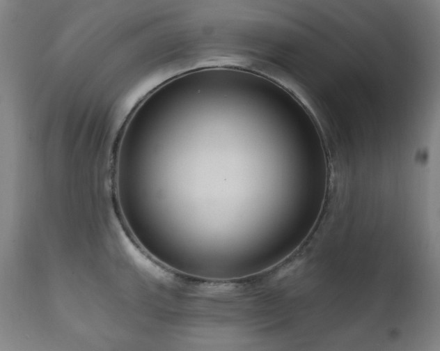 X0000111041143200906251355