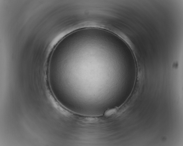 X0000111041144200906251355