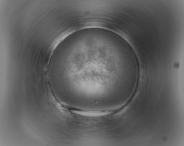 X0000111041145200906251355