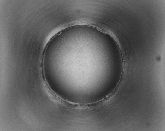 X0000111041146200906251355