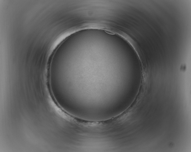 X0000111041147200906251355