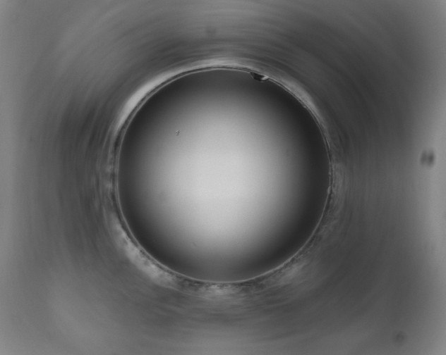 X0000111041148200906251355