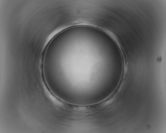 X0000111041149200906251355