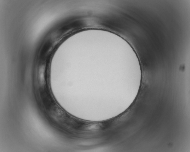 X0000111041150200906251355