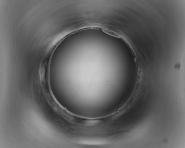 X0000111041151200906251355