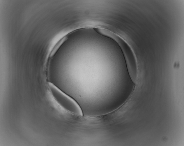 X0000111041152200906251355