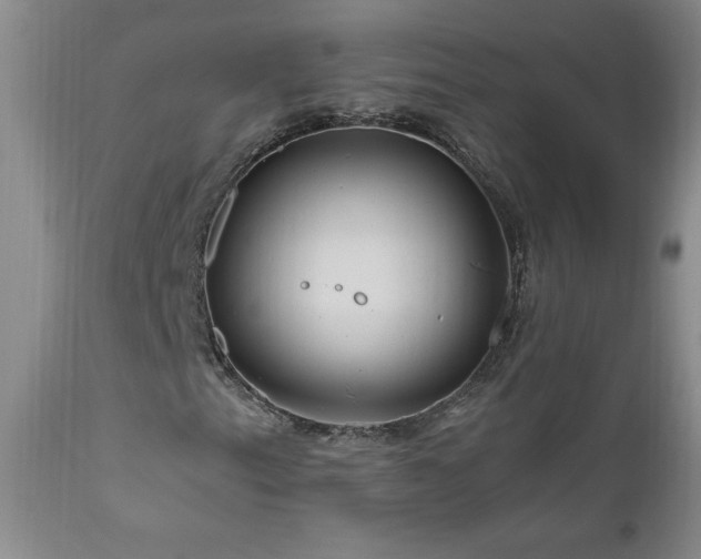 X0000111041153200906251355