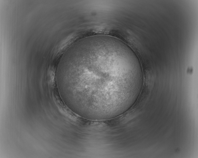 X0000111041154200906251355