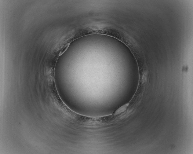 X0000111041156200906251355