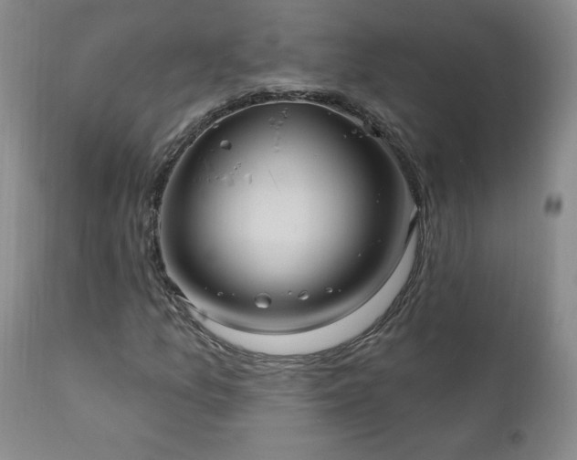 X0000111041157200906251355
