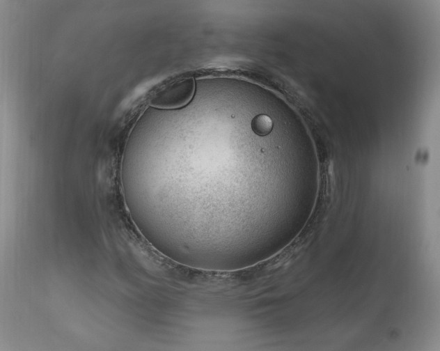 X0000111041158200906251354