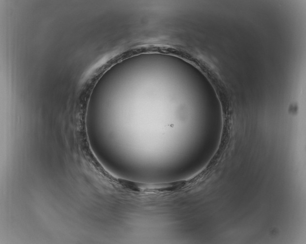 X0000111041159200906251354