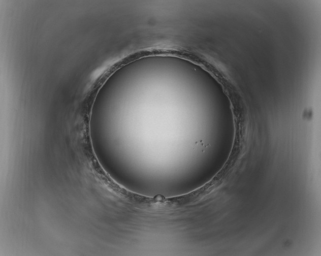X0000111041160200906251354