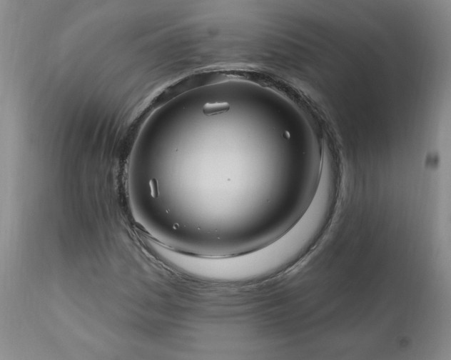 X0000111041161200906251354