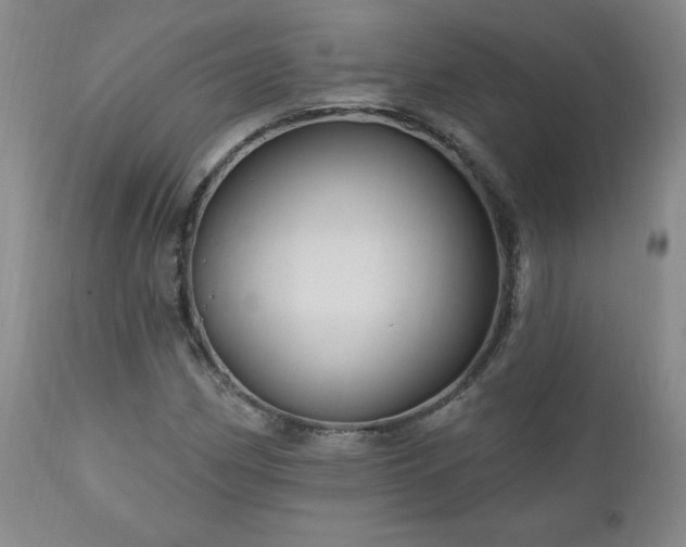 X0000111041162200906251354