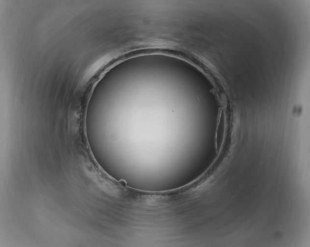 X0000111041163200906251354