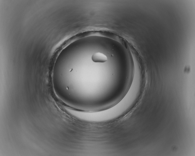 X0000111041165200906251354
