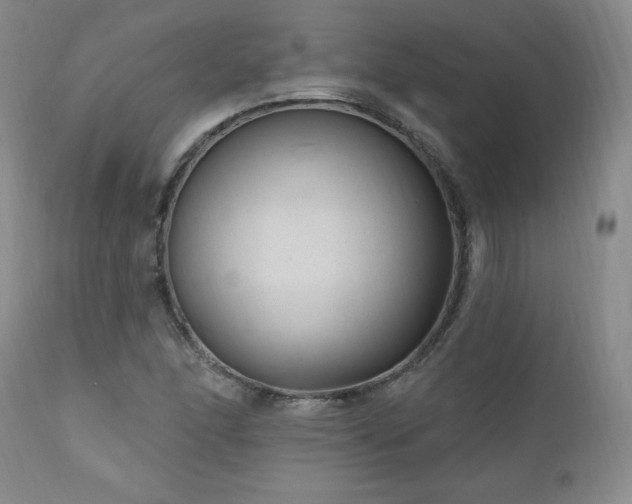 X0000111041166200906251354
