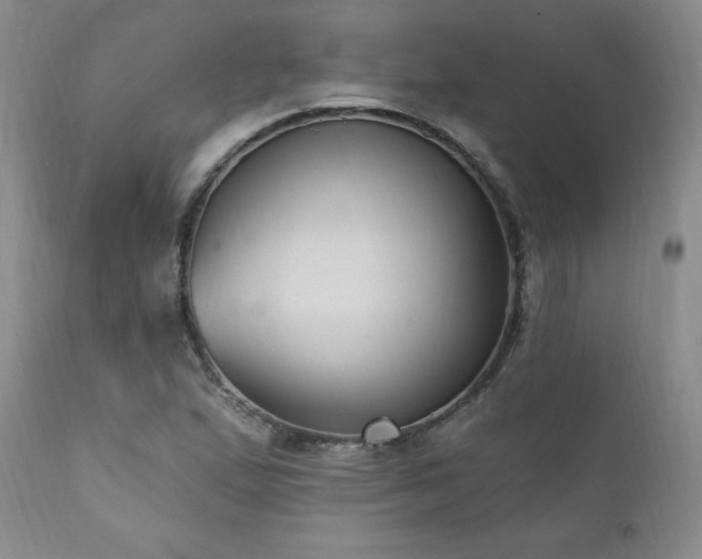 X0000111041167200906251354
