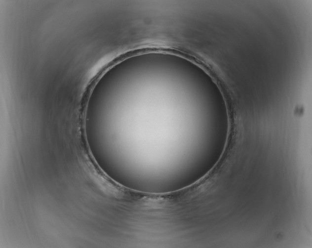X0000111041168200906251354