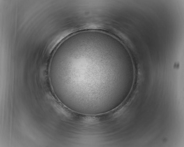 X0000111041170200906251354