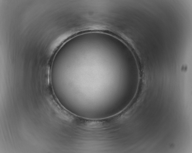 X0000111041171200906251354
