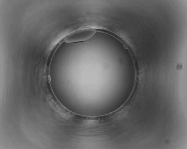 X0000111041173200906251354