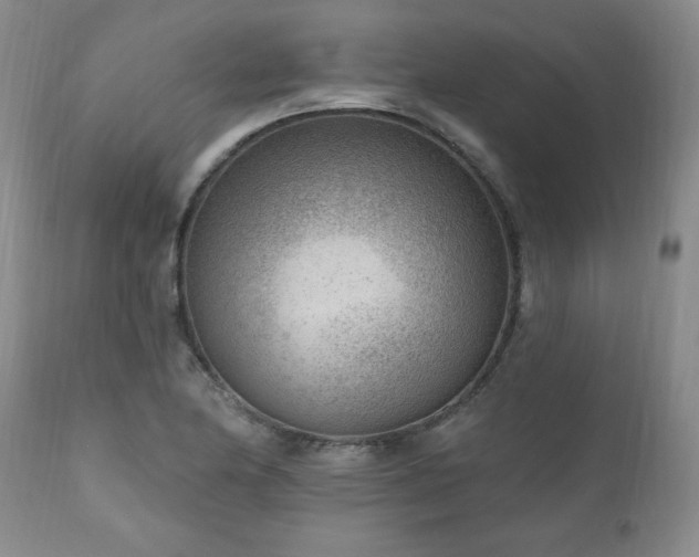 X0000111041174200906251354