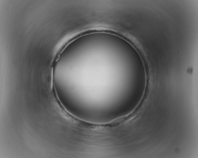 X0000111041175200906251354