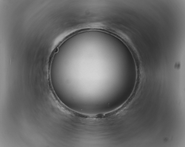 X0000111041176200906251354