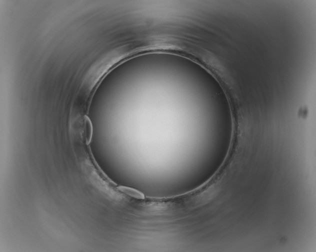 X0000111041177200906251354