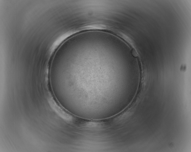 X0000111041179200906251354