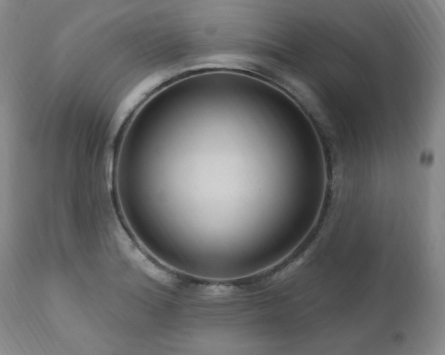 X0000111041180200906251354