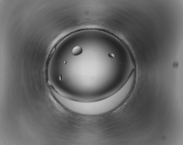 X0000111041181200906251354
