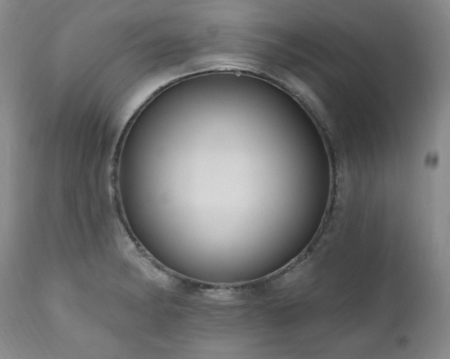 X0000111041182200906251354